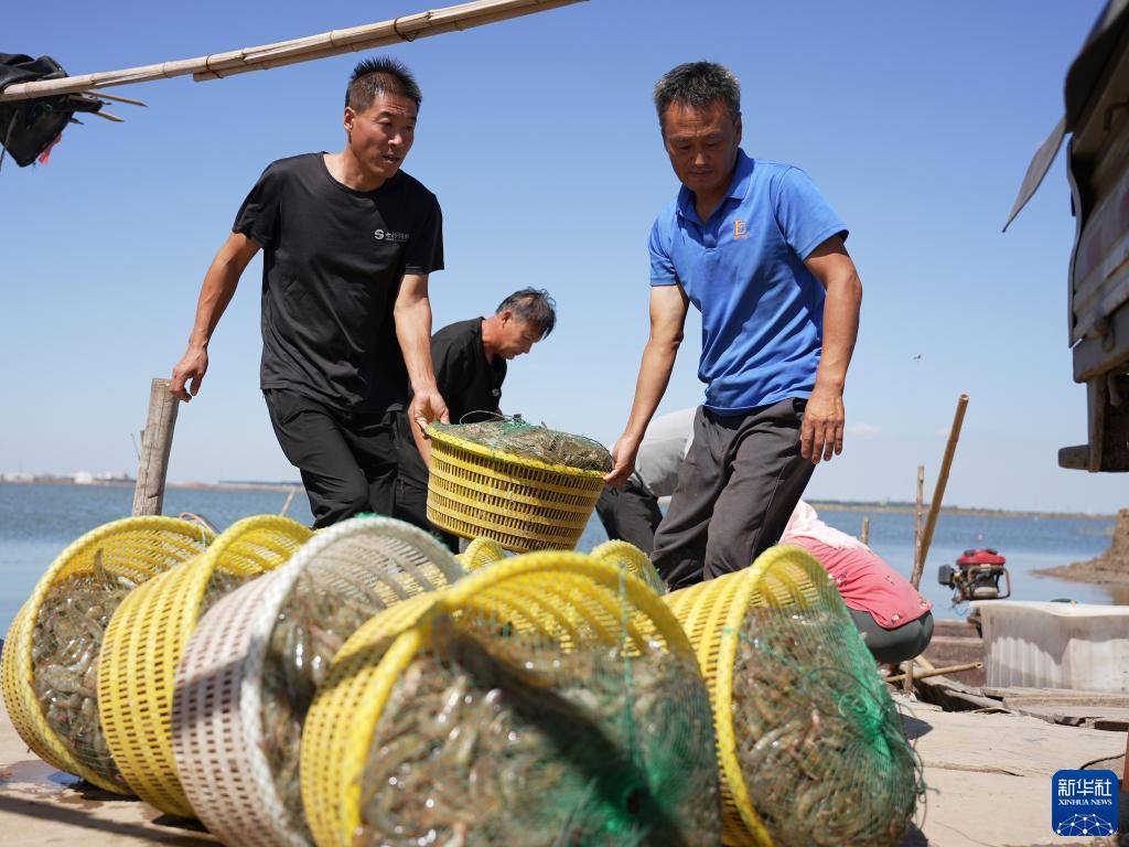 民间游戏官方娱乐